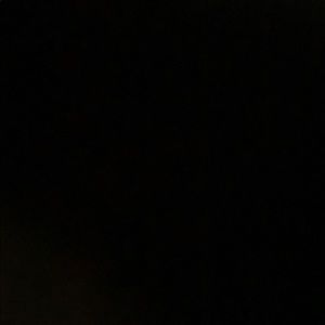 Meet your Posher, Dylan